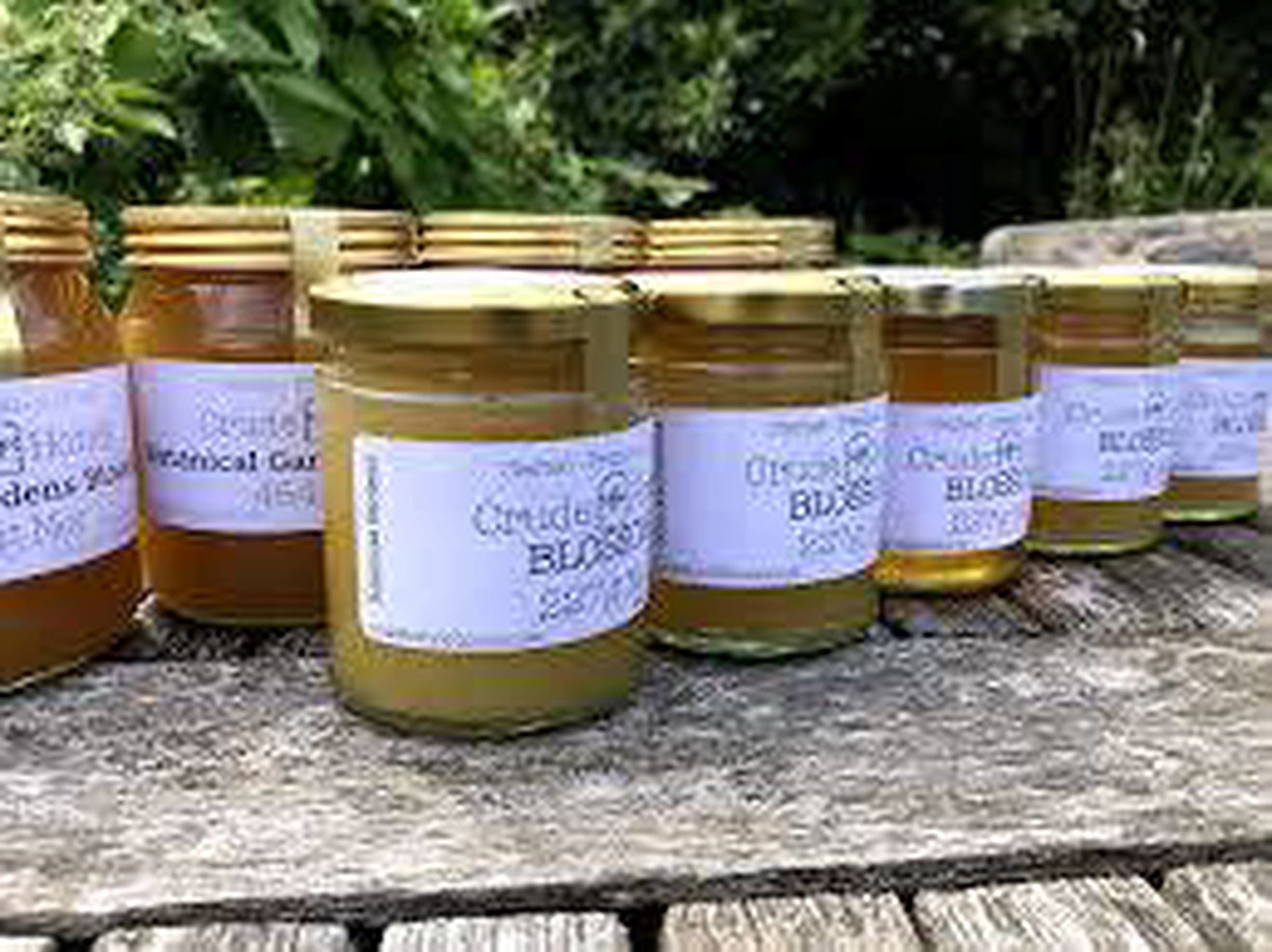 Image of the product