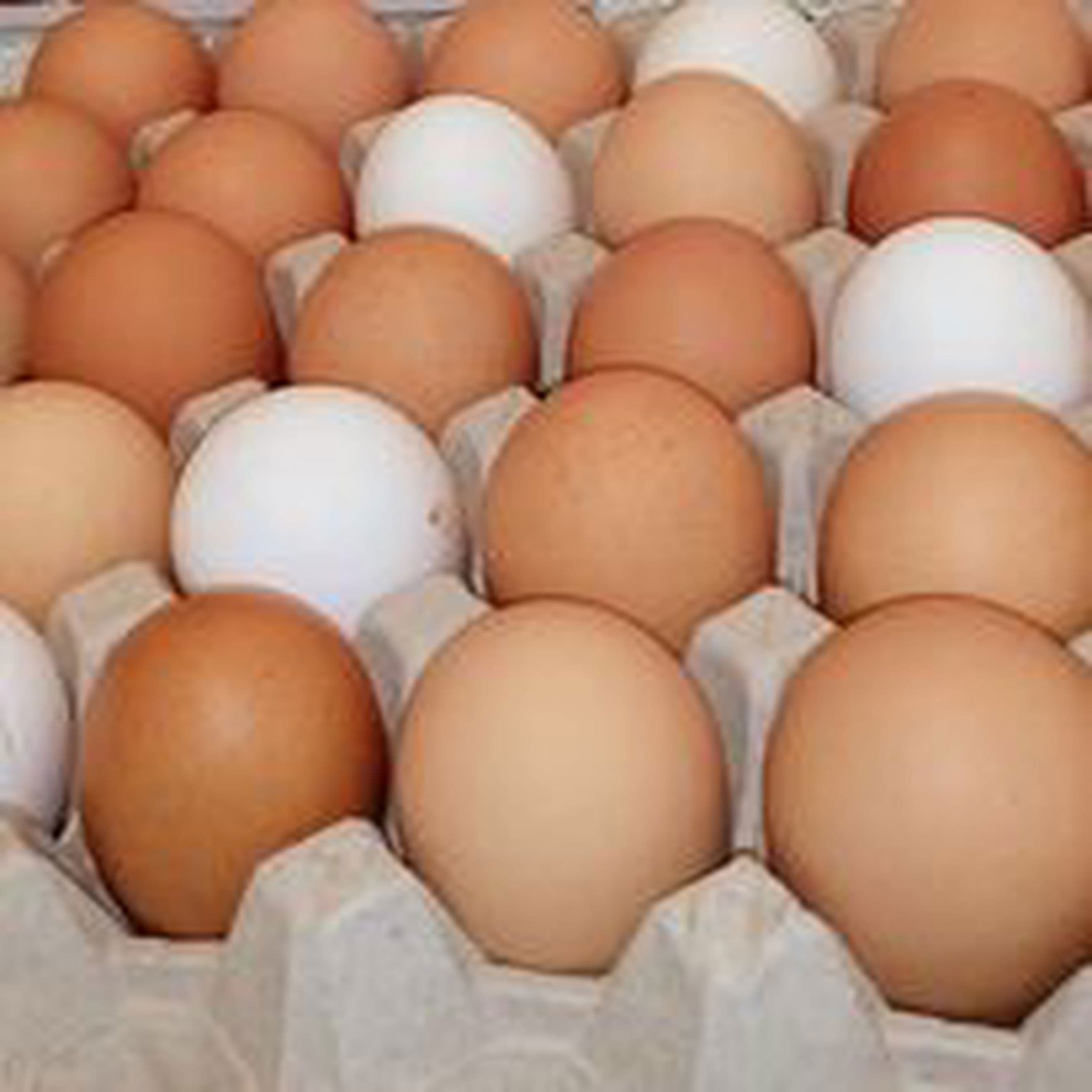 Eggs 6 mixed size